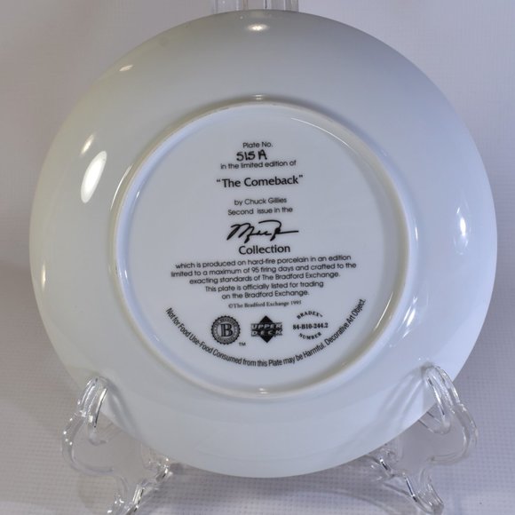 Michael Jordan The Comeback NBA Collector Plate Bradford Exchange - Picture 3 of 5